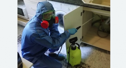 Уничтожение муравьев в квартире. Северное Тушино 