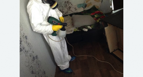 Обработка квартир от насекомых в Северном Тушино города Москвы