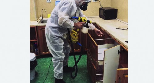 Дезинсекция квартиры. Северное Тушино 