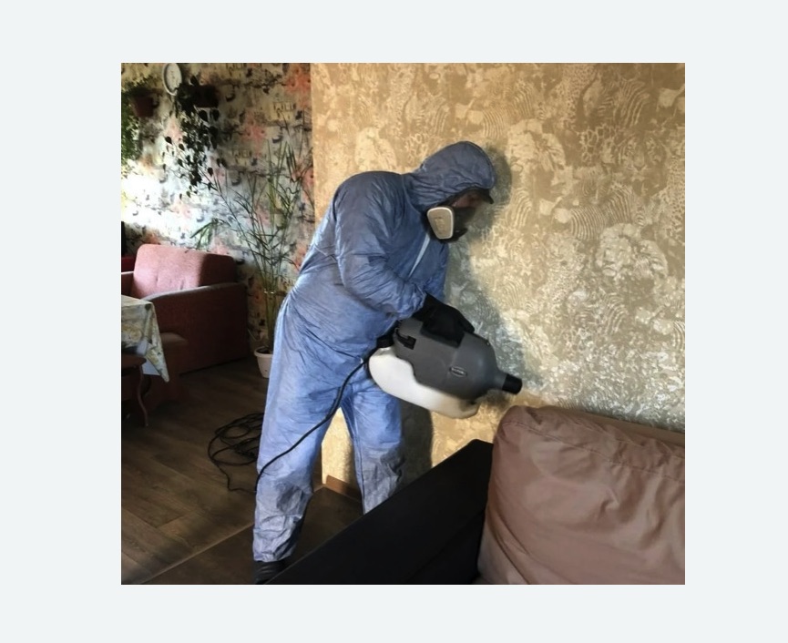 Уничтожение блох в квартире. Северное Тушино Уничтожение блох в квартире