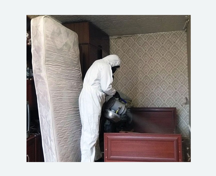 дезинфекция от клопов дезинфекция от клопов в Северном Тушино города Москвы