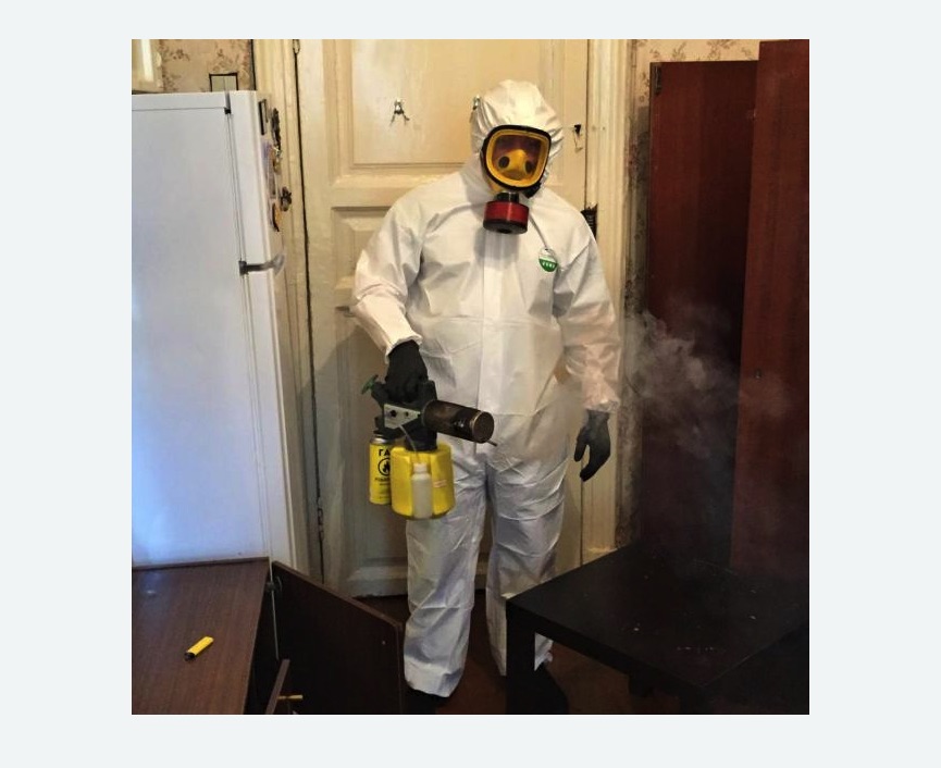 уничтожение муравьев в квартире уничтожение муравьев в квартире в Северном Тушино города Москвы